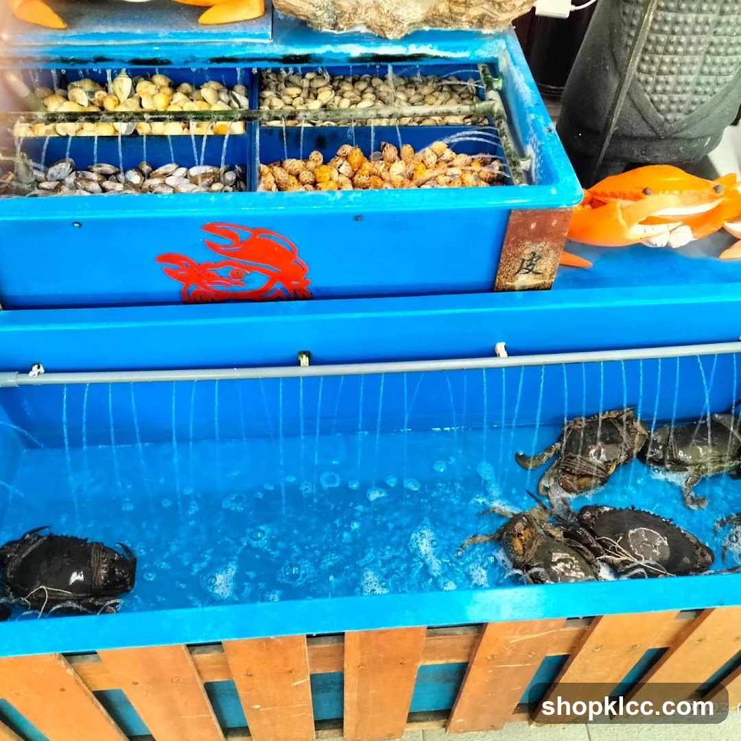 Live Seafood Display