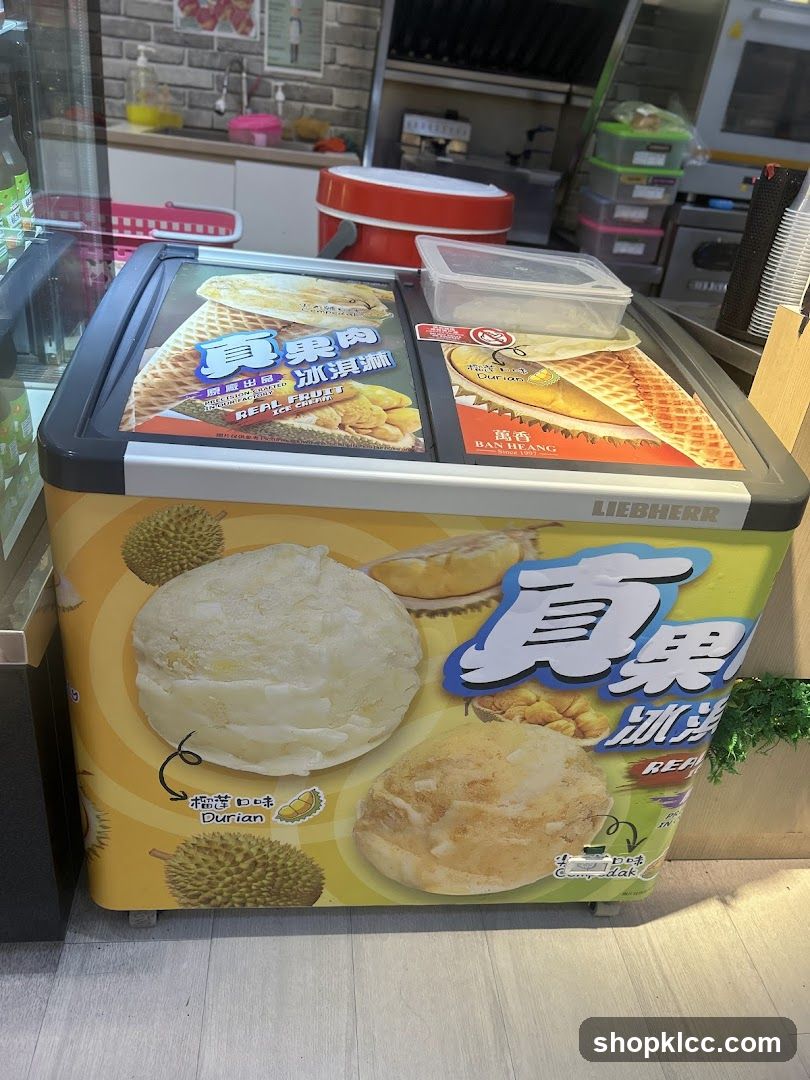 Ice Cream Freezer