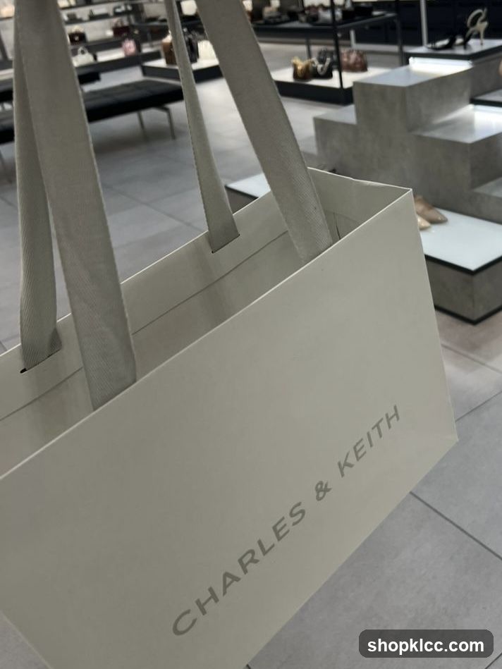 Charles & Keith Shopping Bag