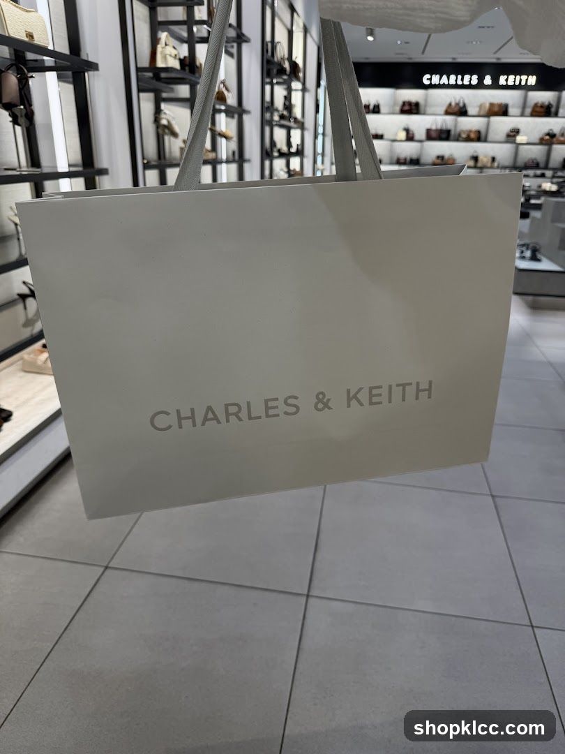Charles & Keith Shopping Bag