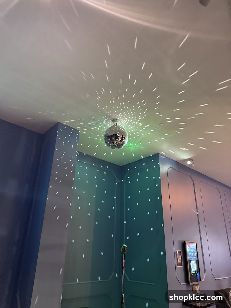 Disco Ball and Microphone
