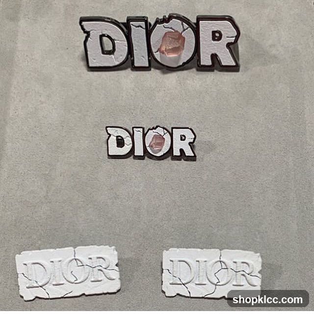 Dior Logo Emblems