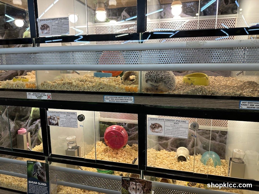 Pet Store Display Cases