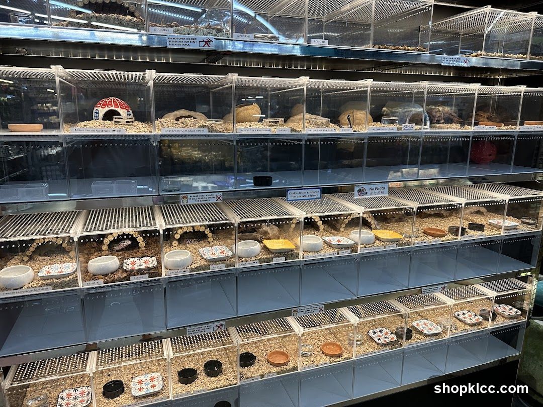 Pet Store Enclosures