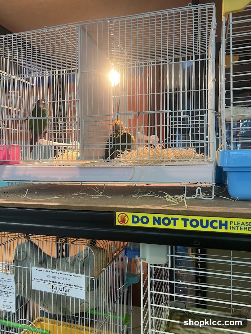 Pet Cages with Animals