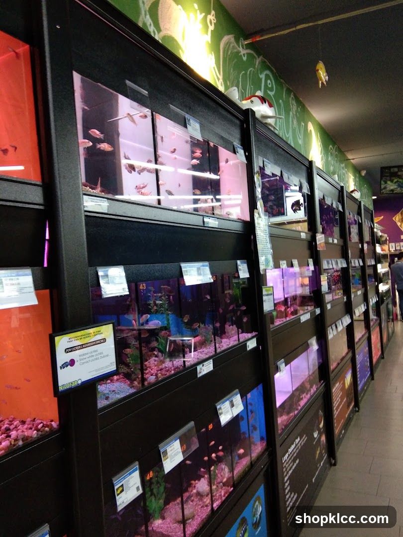 Pet Store Fish Tanks