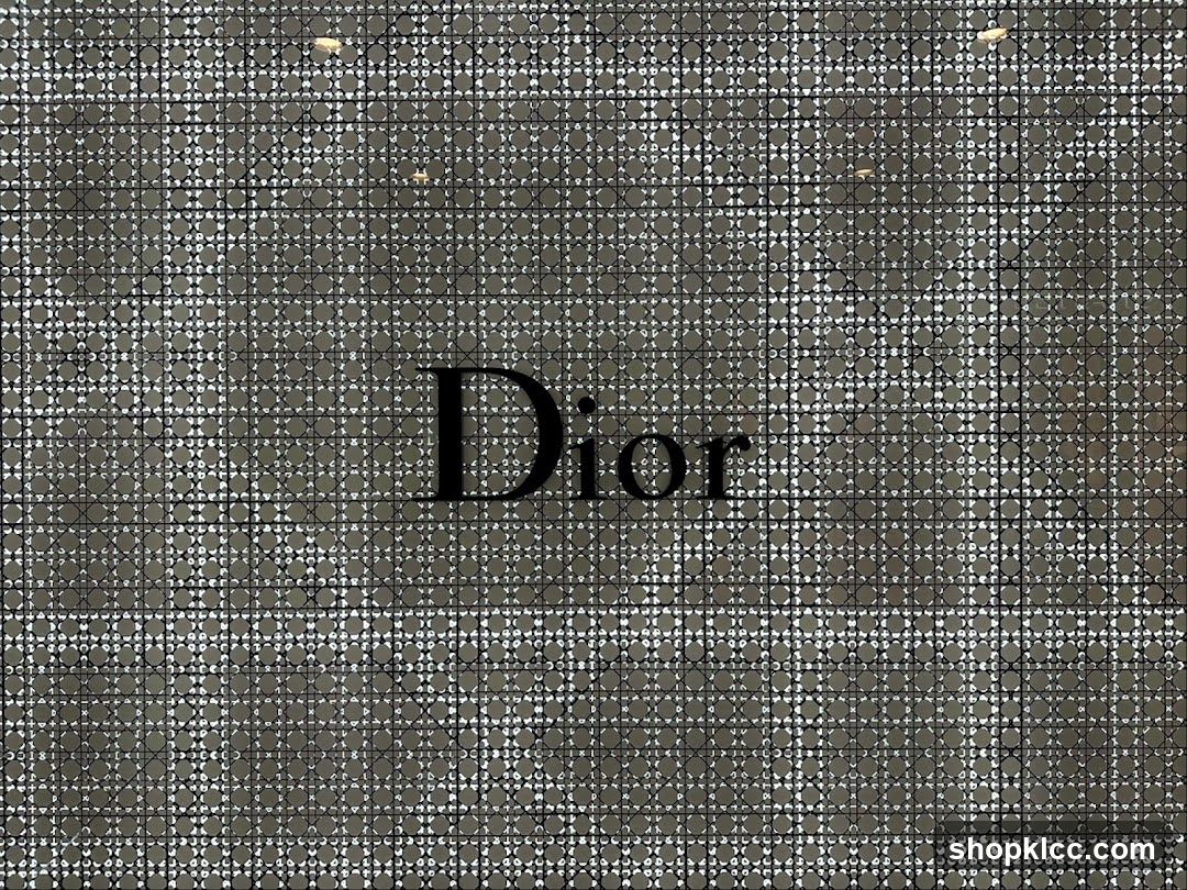 Dior Logo on Textured Background