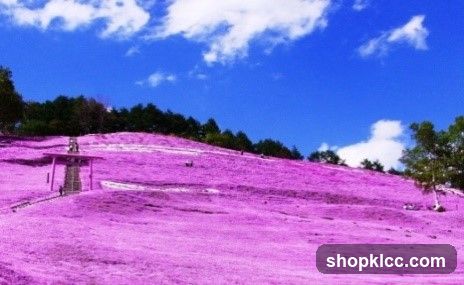 Purple Hill Landscape