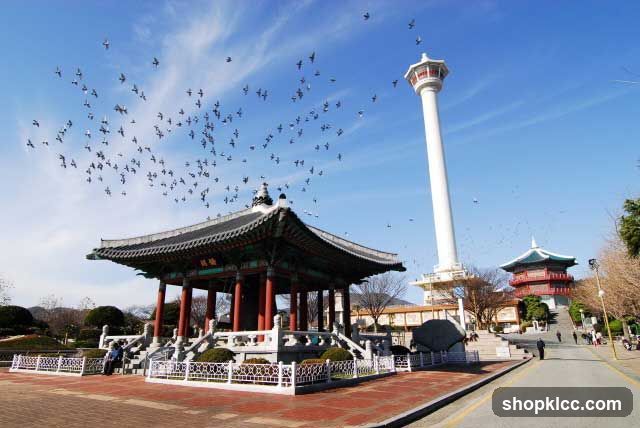 Seoul Tower and Pavilion with Birds