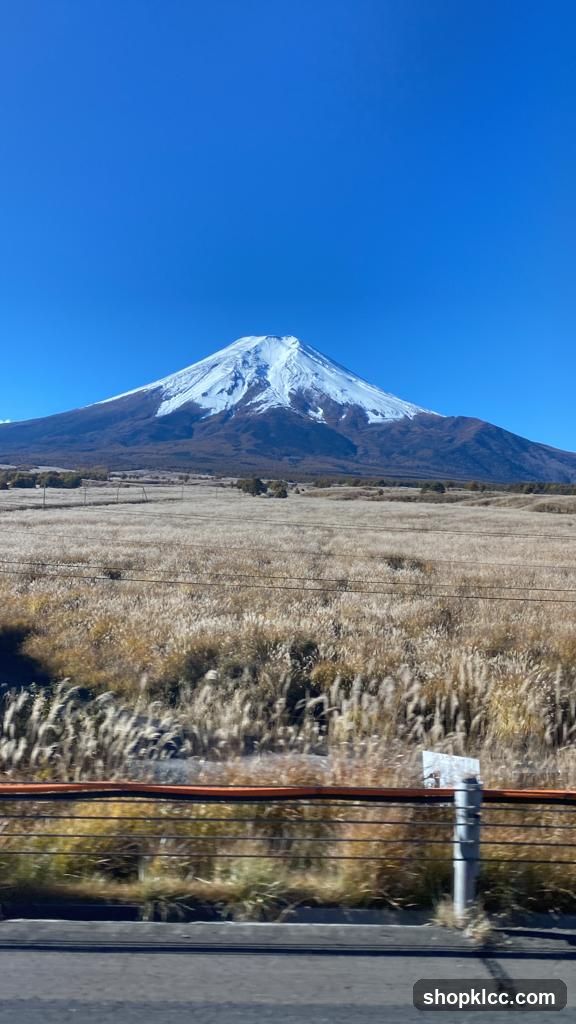 Mount Fuji Landscape