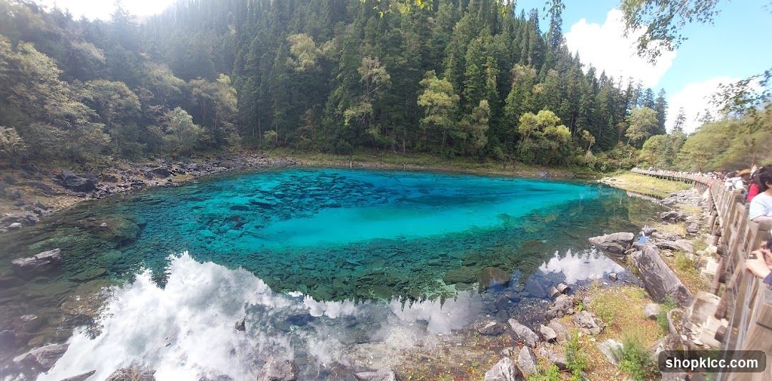 Blue Lake in Forest