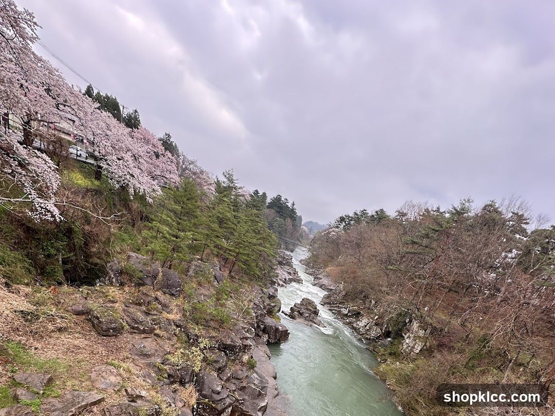 River Valley with Cherry Blossoms