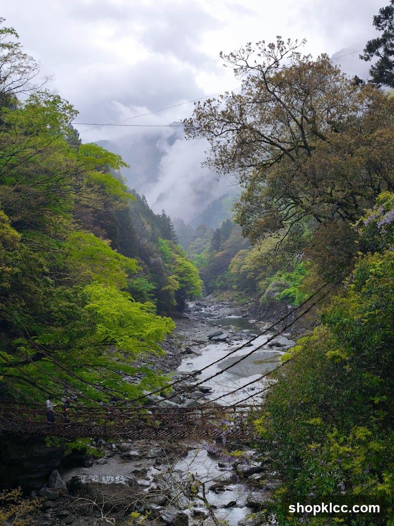 Riverside Suspension Bridge in Misty Valley