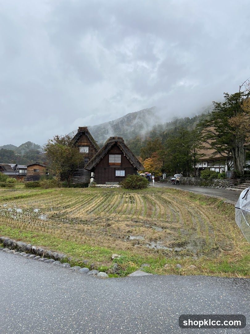 Traditional Japanese Houses in Rural Setting