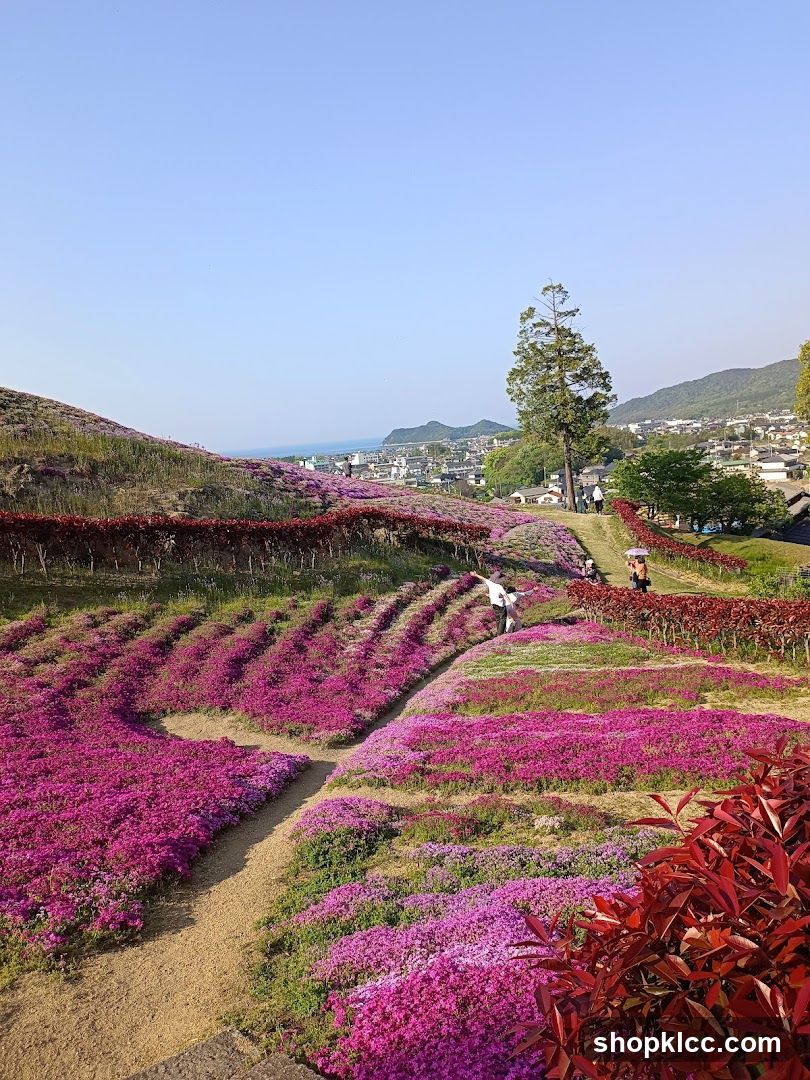 Flower Fields Landscape