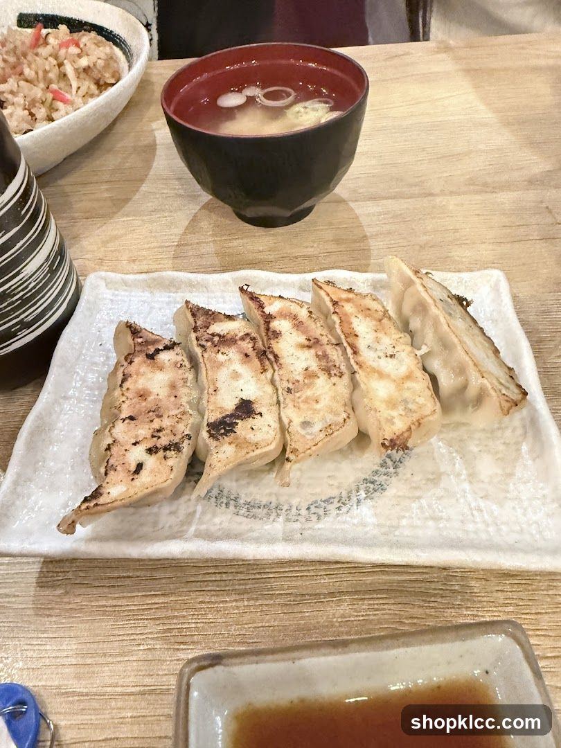 Gyoza and Miso Soup