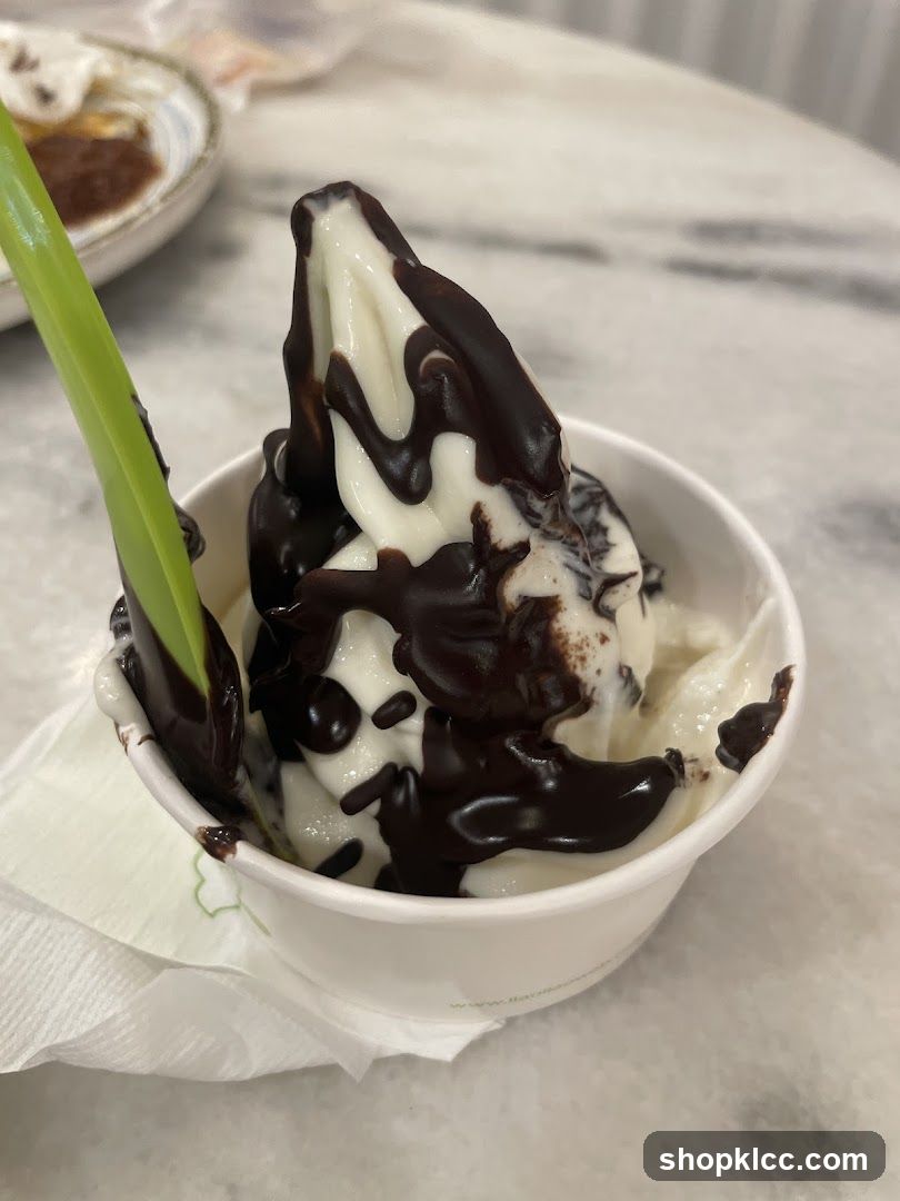 Soft Serve Ice Cream with Chocolate Drizzle