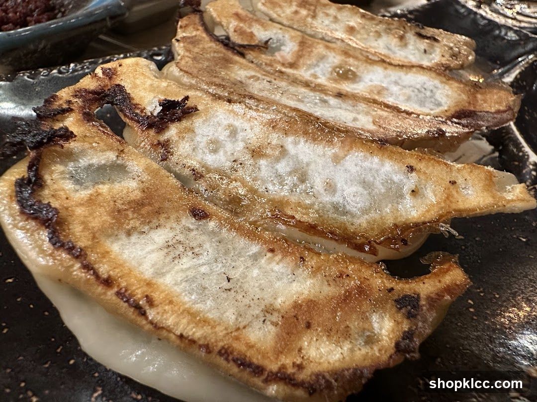 Pan-fried dumplings