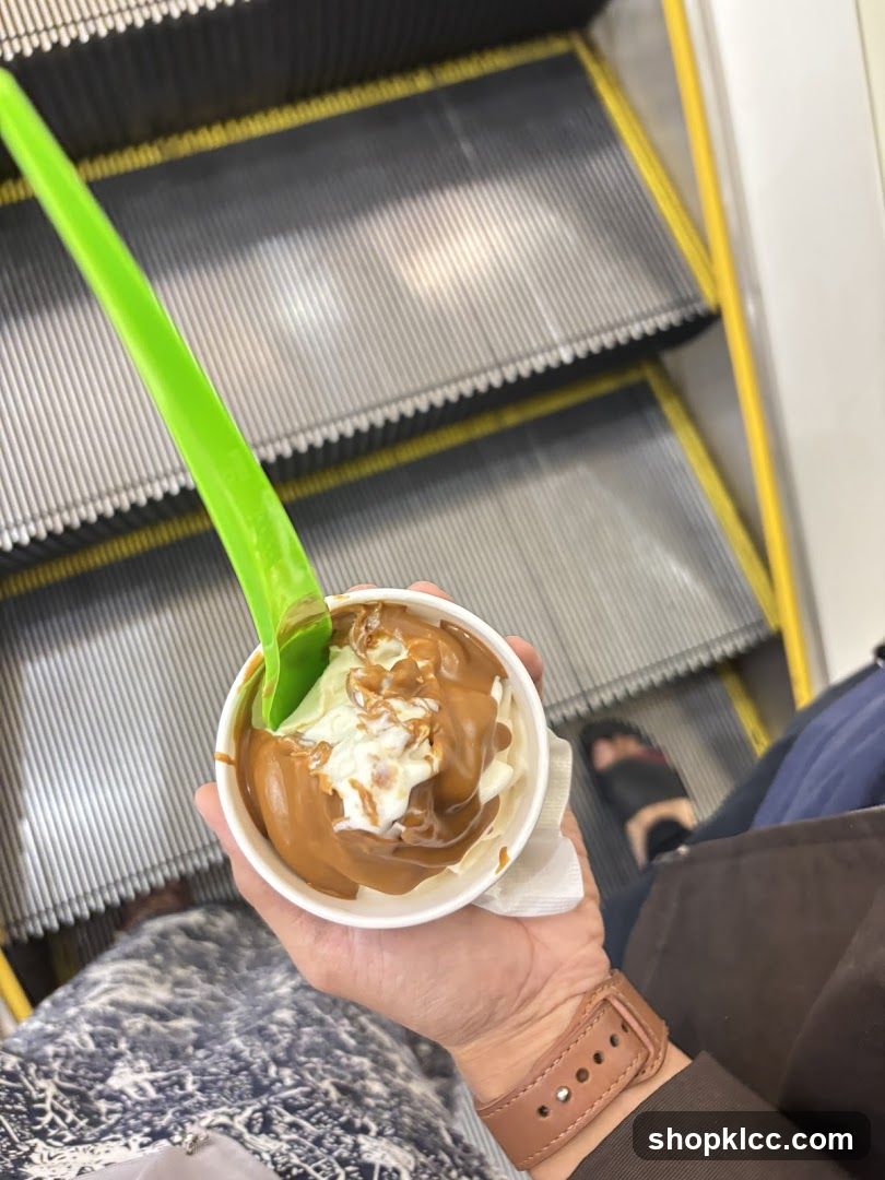 Ice Cream with Sauce