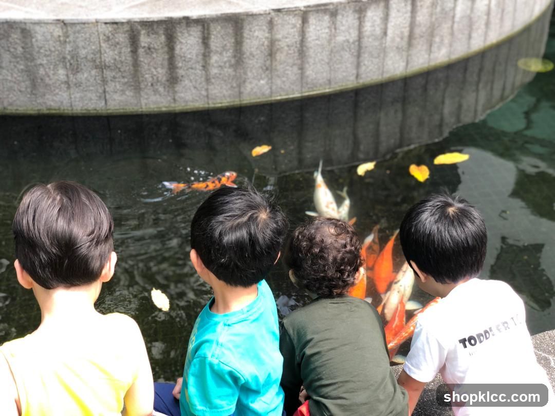 Children Watching Koi Fish