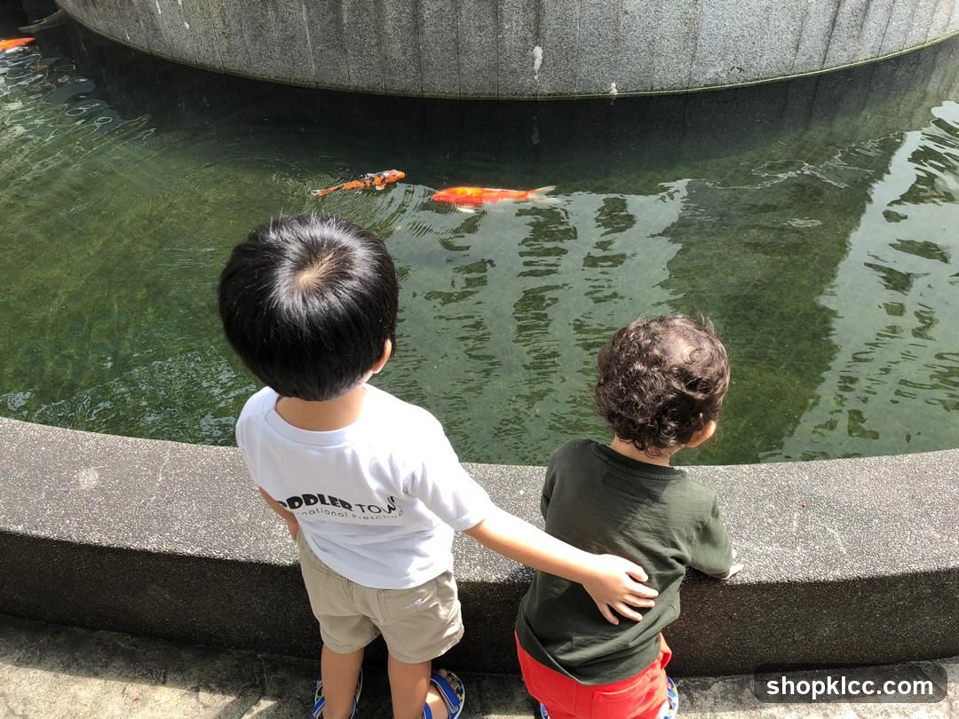 Children Watching Koi Fish