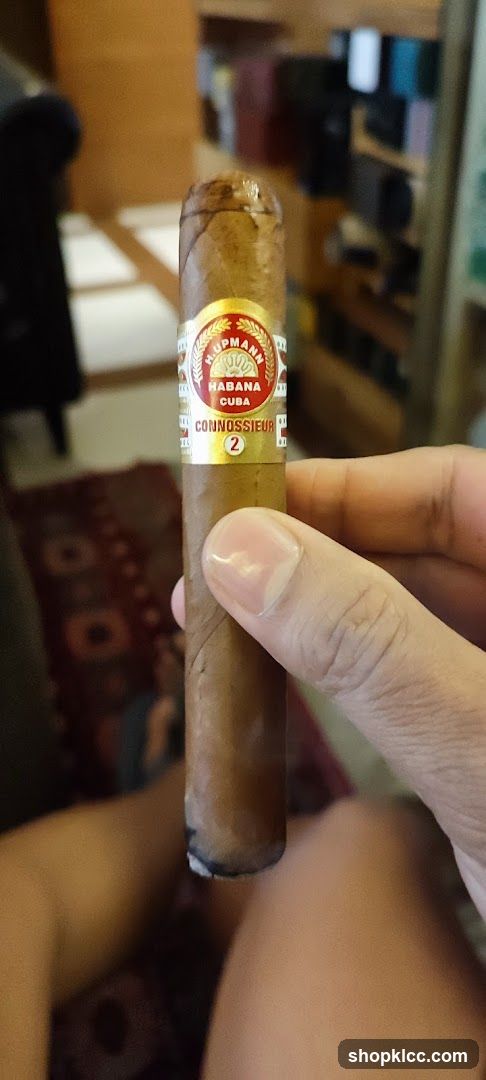 Cigar held in hand