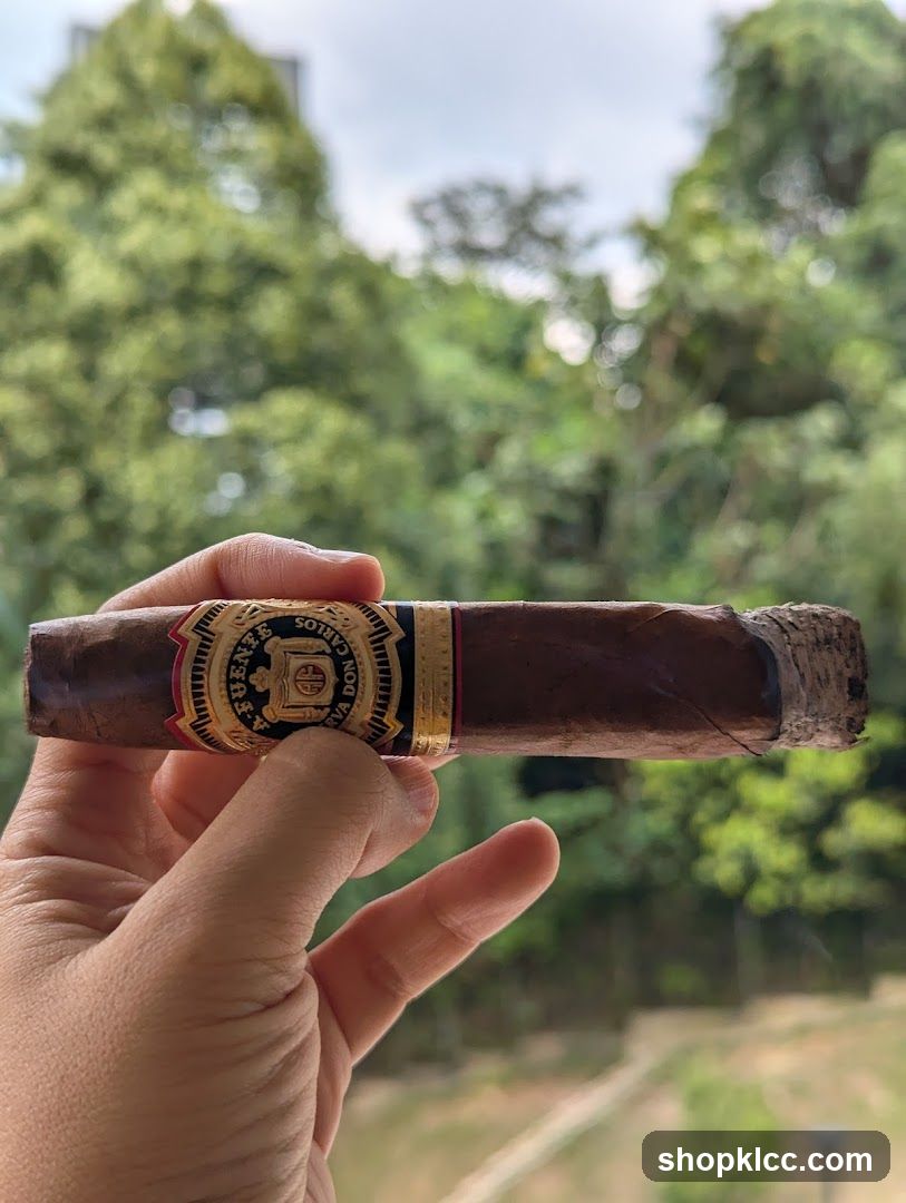 Cigar held against green background