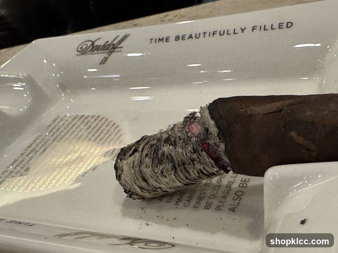 Cigar in Ashtray