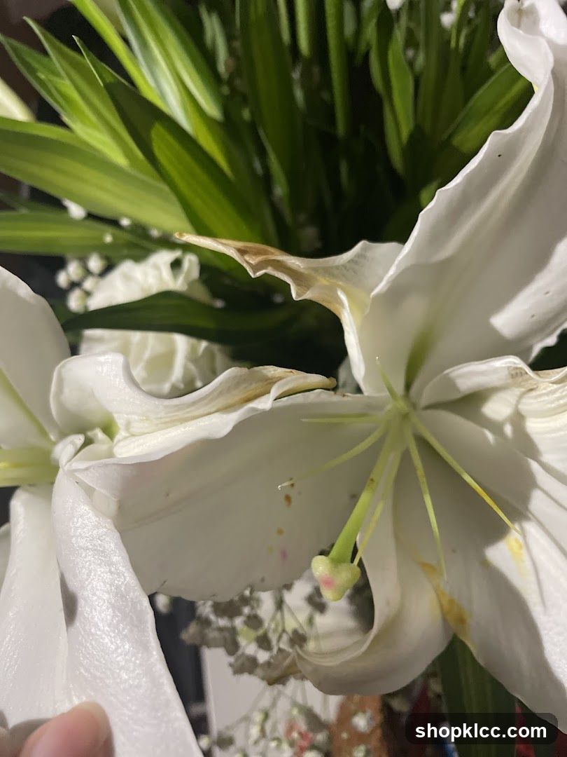 White Lilies