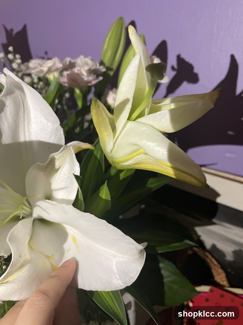 White Lilies and Pink Carnations