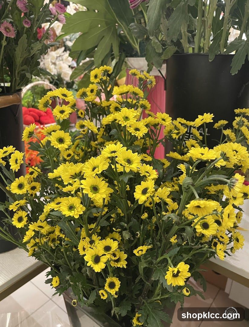 Yellow Chrysanthemums