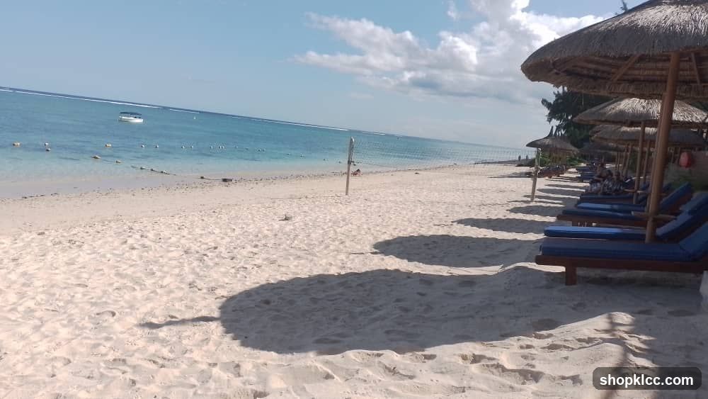 Beach with Lounge Chairs and Umbrellas