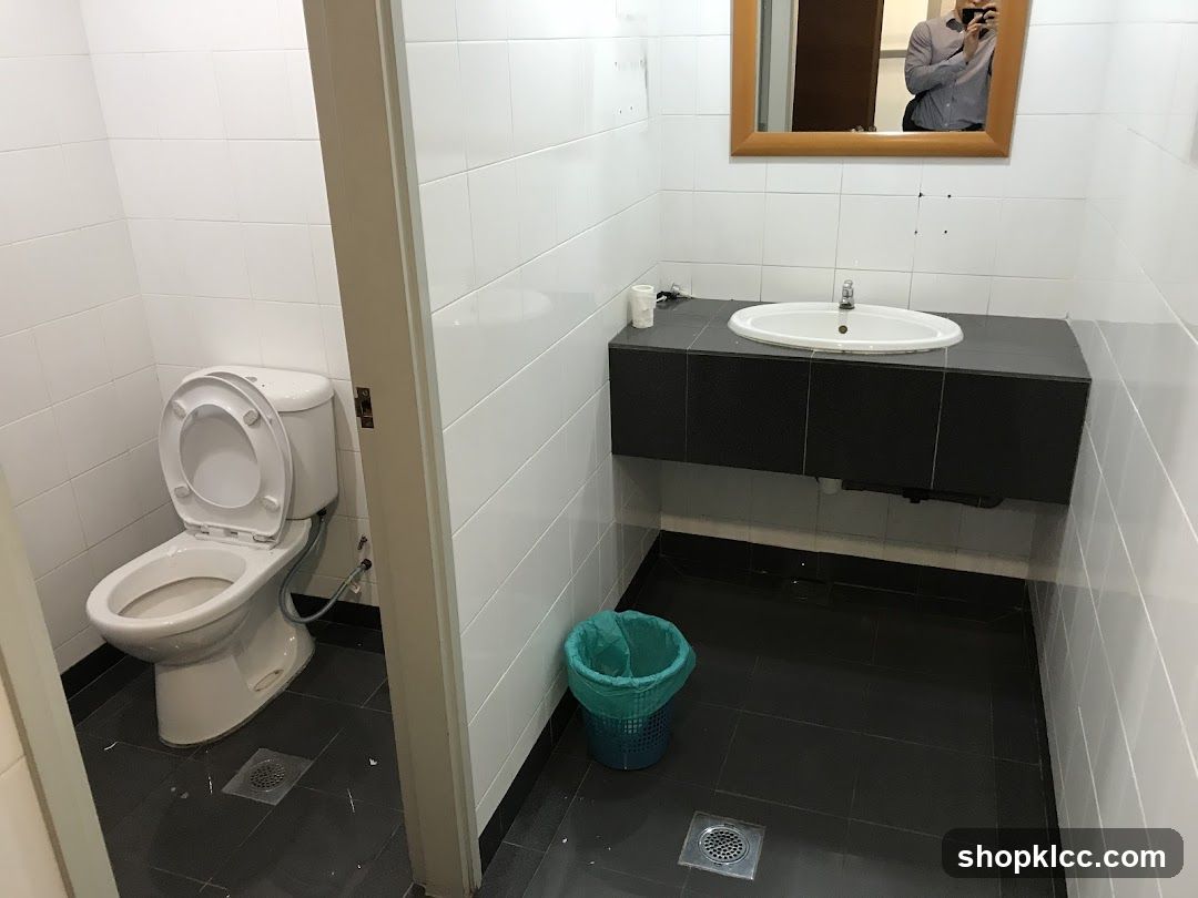 Restroom Sink and Toilet