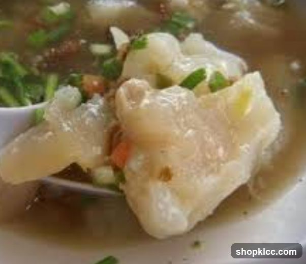Close-up of a bowl of soup with large pieces of meat and vegetables.