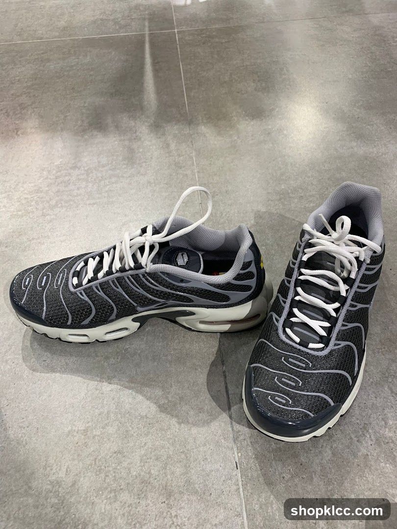 Nike Air Max Plus Sneakers