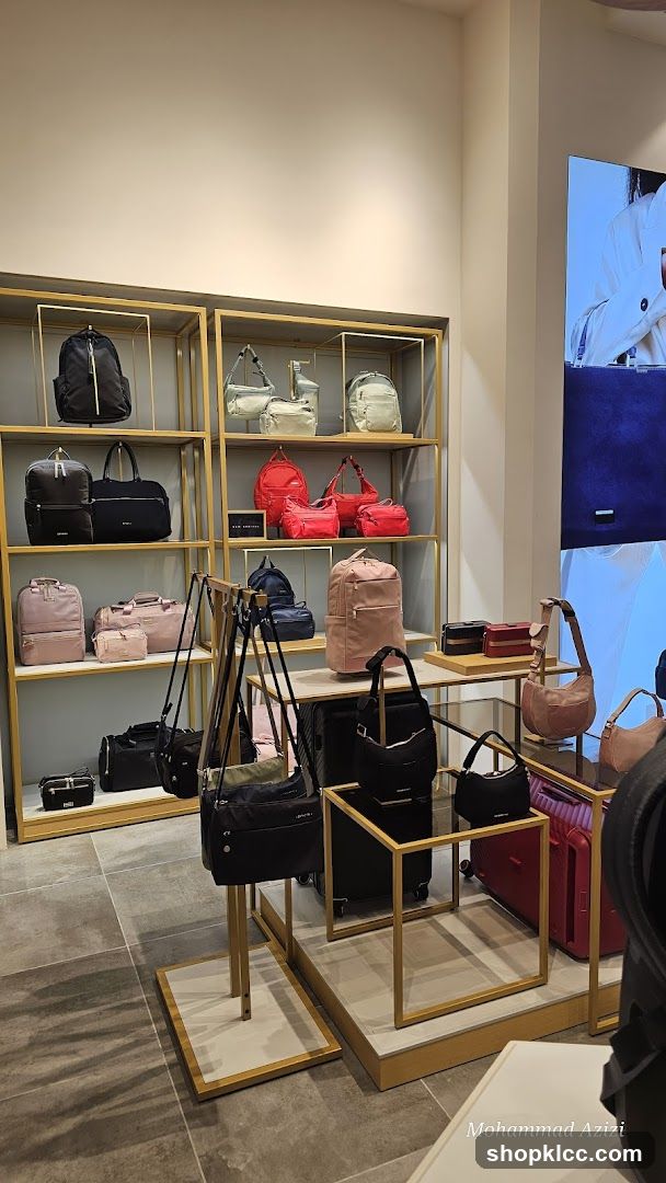 Bag Display Store Interior