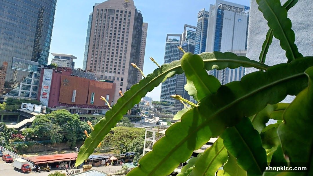 Cityscape with Plant in Foreground