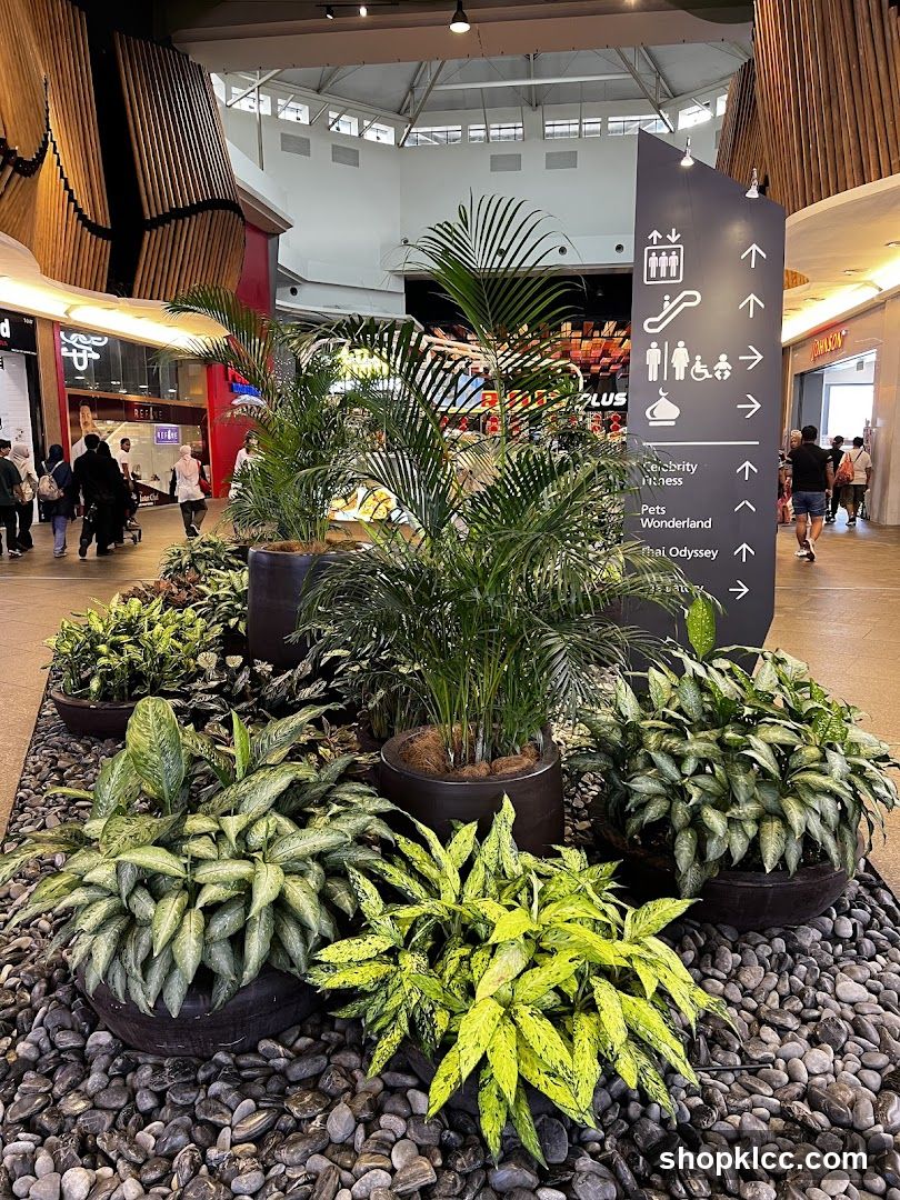 Indoor plants and directional signage