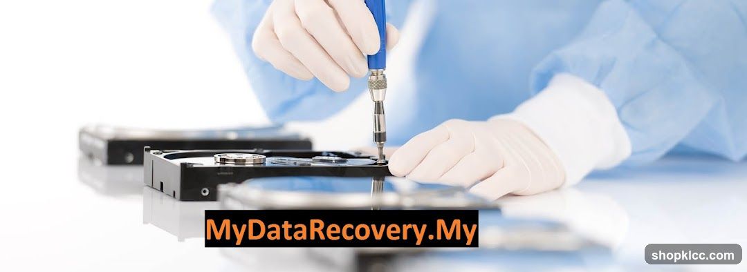 Data Recovery Service