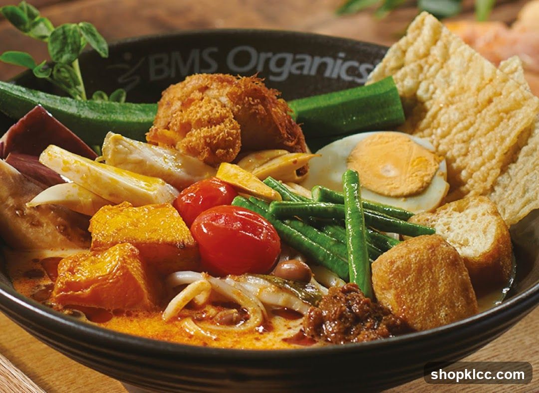 BMS Organics Curry Laksa