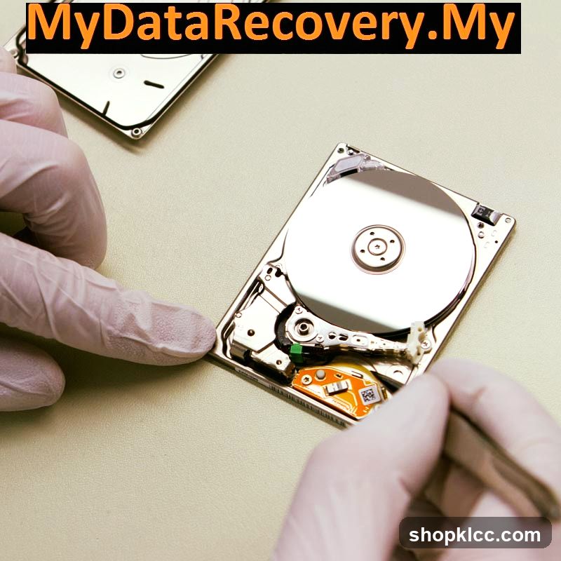 Data Recovery Service