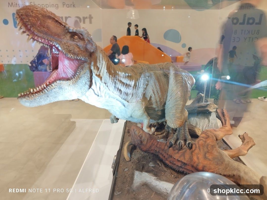 Dinosaur Display