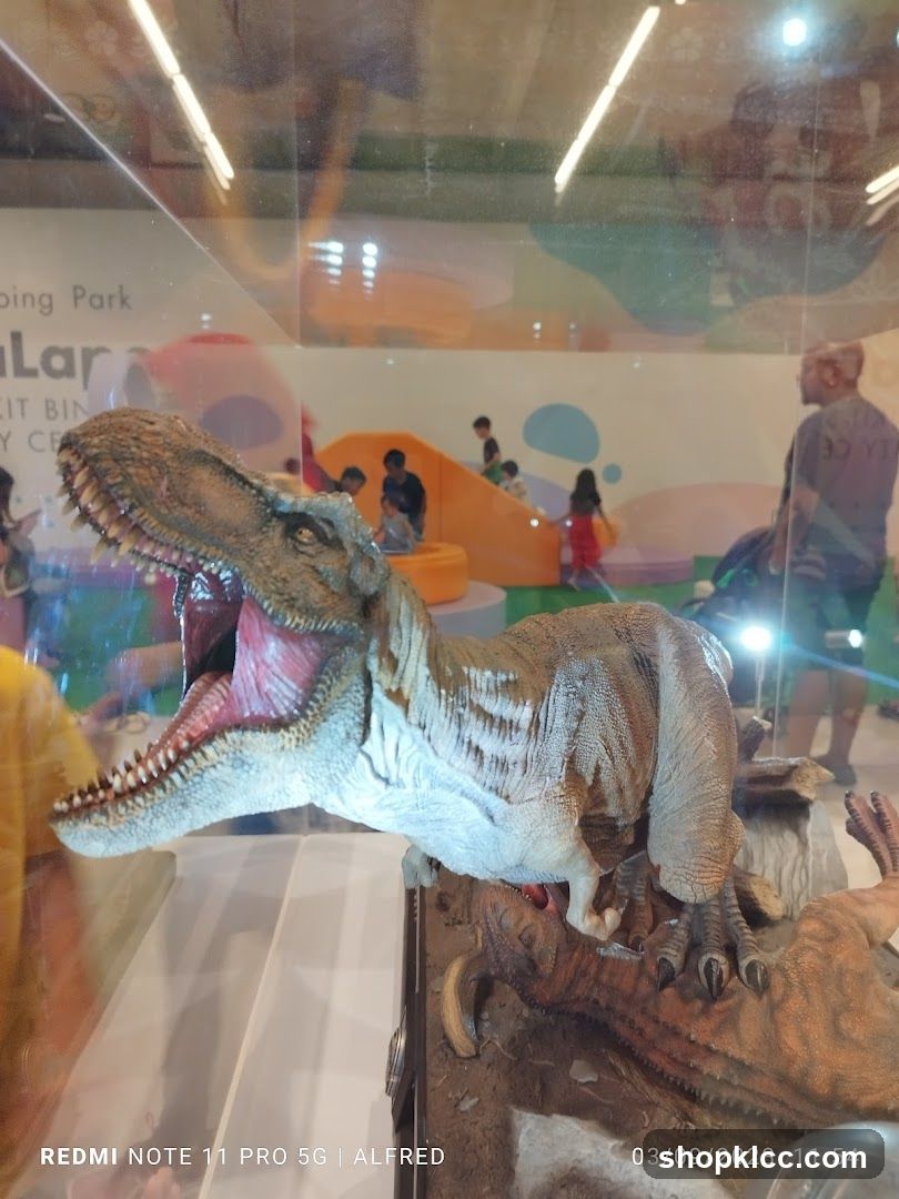 Dinosaur Display in Play Area