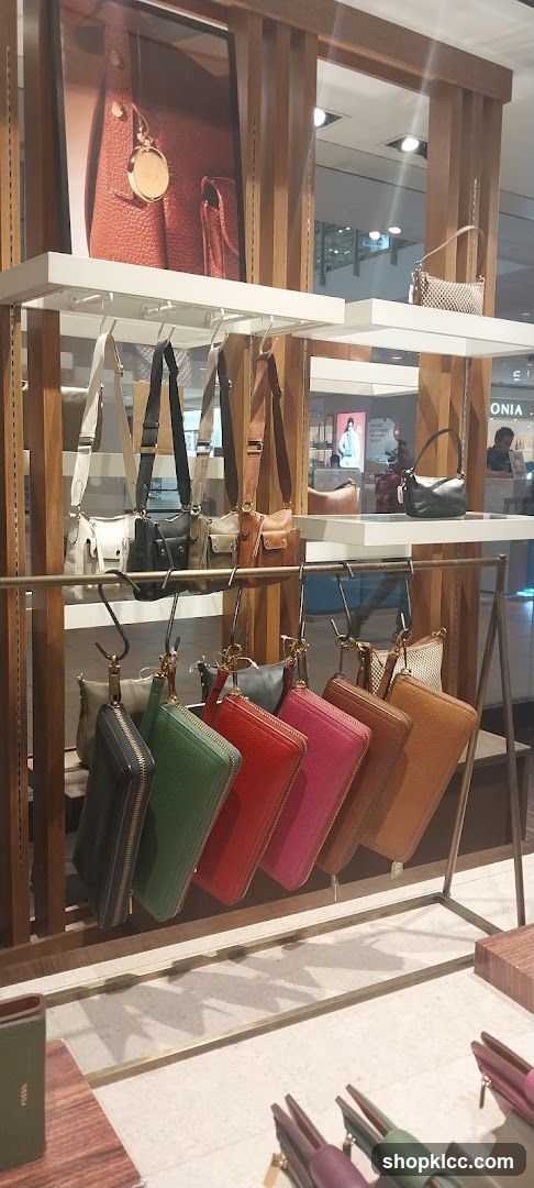 Fossil Store Display