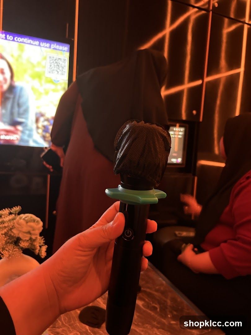Karaoke Microphone