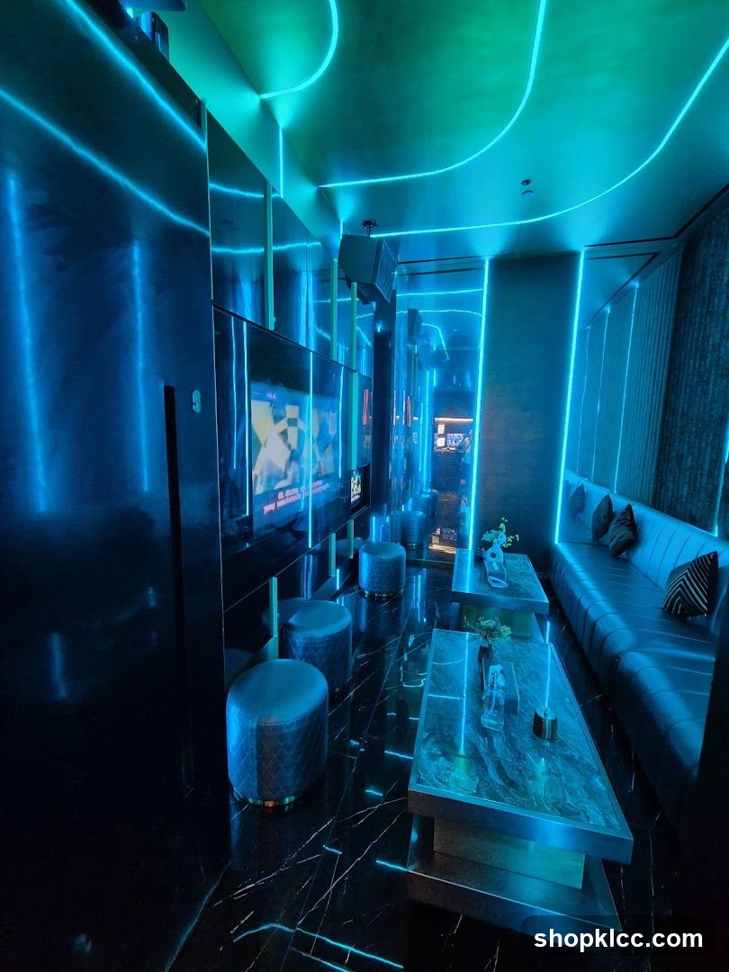 Modern Karaoke Room