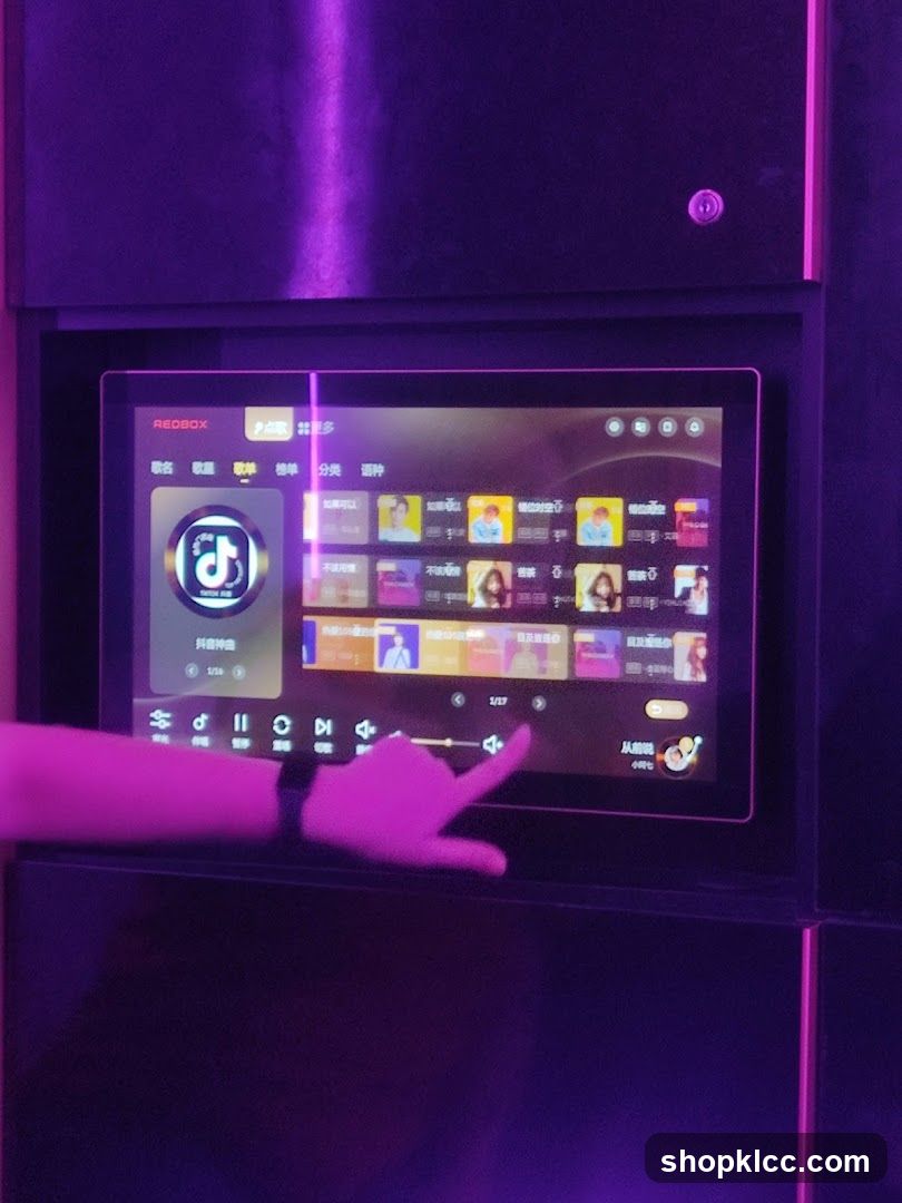 Karaoke Machine Interface