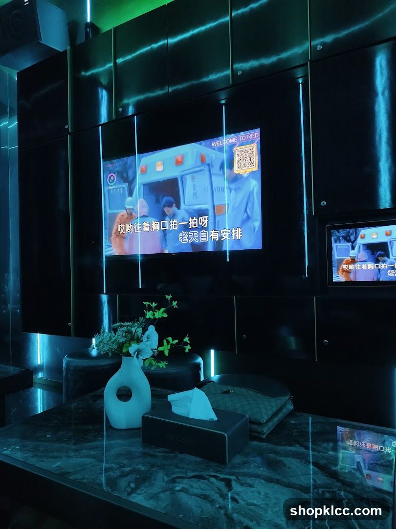 Karaoke Room Entertainment
