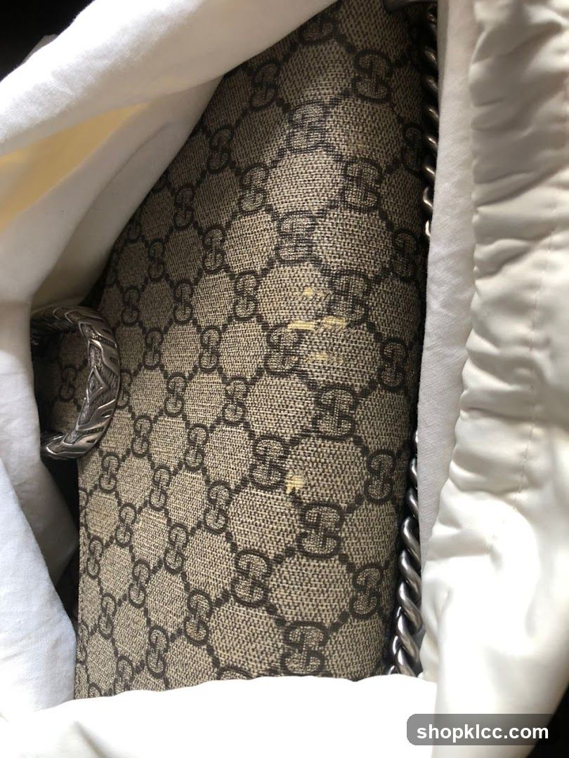 Gucci Bag Detail
