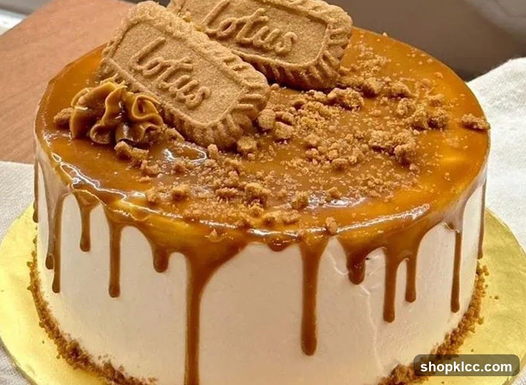 Lotus Biscoff Cake